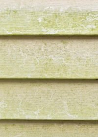 Wooden-background-scaled